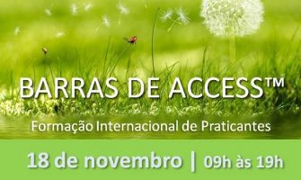 [AGENDA PE] Curso Barras de Access™, com Patricia Munick, dia 18/11 no Recife