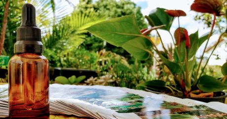 [AGENDA PE] Morgana Maria oferece atendimentos com Arteterapia, Florais da Amazônia e Reiki, on-line e presencial (em Garanhuns)