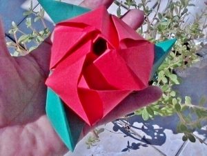 origami andrea luna