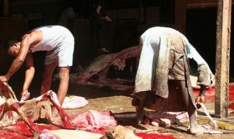 ‘As condições de trabalho na indústria da carne’ é o tema do próximo debate no 7º Cultura Veg, dia 21/05