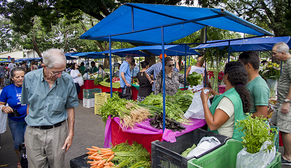 feira baner edital