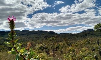 Sociedade pede ampliação do Parque Nacional da Chapada dos Veadeiros