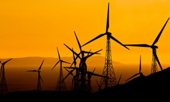 Propaganda enganosa como estratégia dos “negócios do vento”