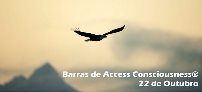 curso-ariana-boreges-barras-access-2
