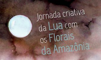 [AGENDA PE] Jornada Criativa da Lua com os Florais da Amazônia nesta sexta!
