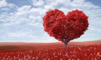 [INTEGRANDO SAÚDE] Amor como Caminho Direto – Parte 6:  Amar a Deus através de um relacionamento erótico