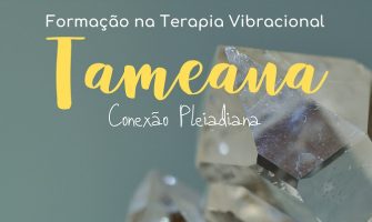 [AGENDA PE] Formação na Terapia Vibracional Tameana, dias 8 e 9/2, no Recife