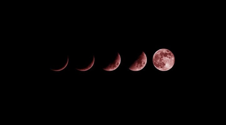 Fases da lua para o mês de abril de 2019 Calendario Lunar Confira As Fases Da Lua Em 2020 Flores No Ar