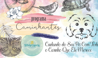 [AGENDA] Sílvia Garcia oferece tratamentos naturais para pets