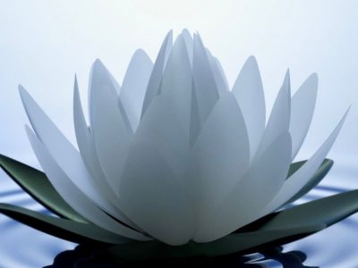 [O SER EM SINTONIA] Chakra da Coroa: O Centro da Intuição e da Sabedoria