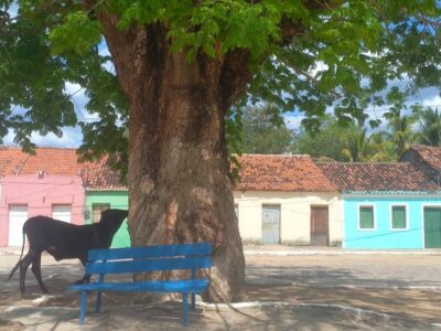 Documentário ‘Memórias de Tupanaci’