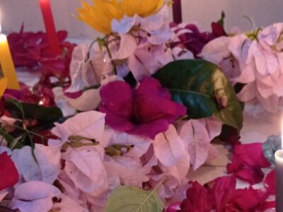 [SÍLVIA GARCIA] O Poder Oculto dos Banhos para um Banho de Sucesso!